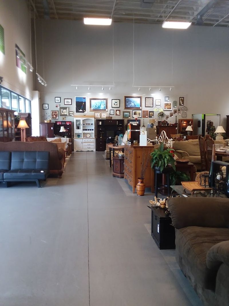 Eco-Friendly Shopping That Aligns with Modern Values