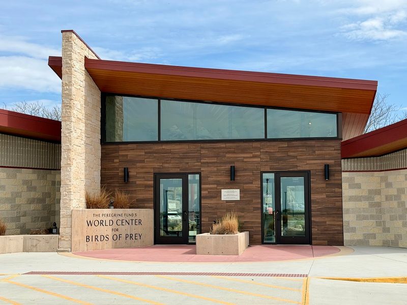 World Center For Birds Of Prey