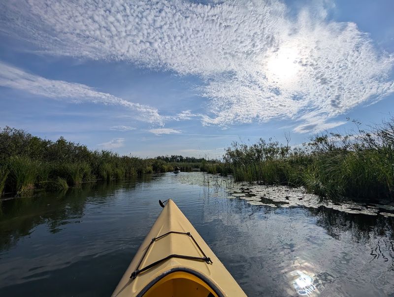 Why This Shoreline Feels Different Each Season