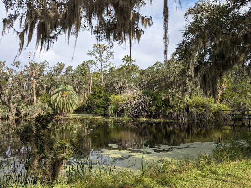 Unique Wildlife That Surprises Even Experienced Naturalists