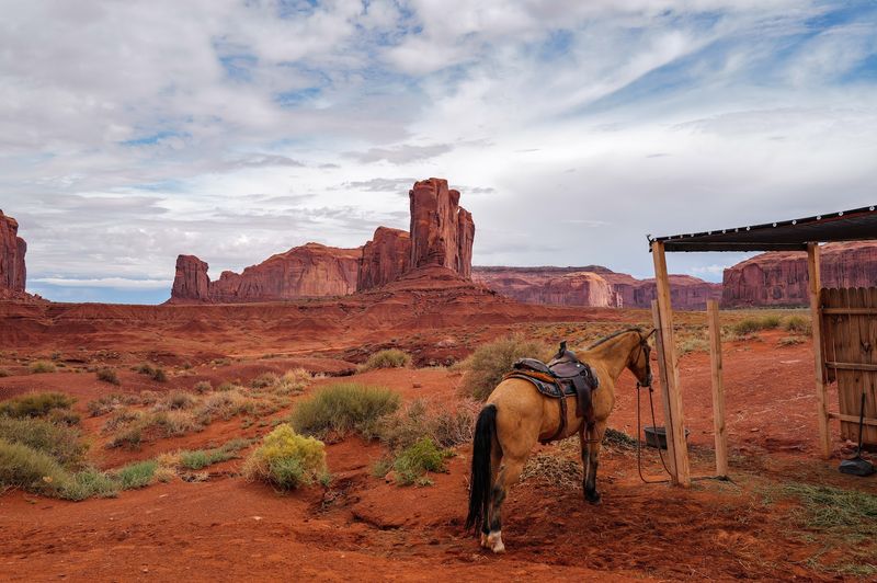 14 Arizona Natural Wonders That Look Like They Are From Another Planet - Decor Hint Monument Valley