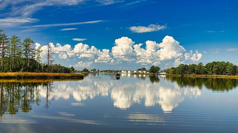 Bounty Of The Brackish Currents
