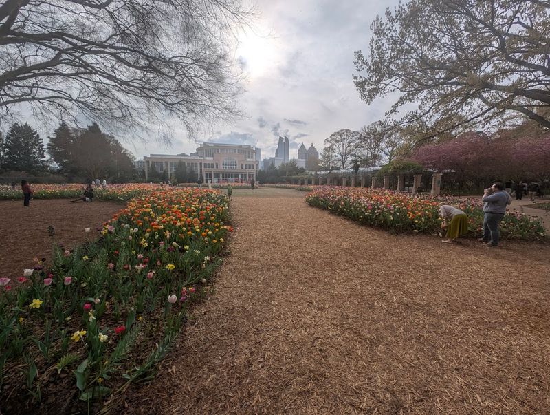 Stroll Through the Atlanta Botanical Garden