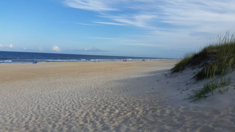 Unwind Along The Windswept Shores 