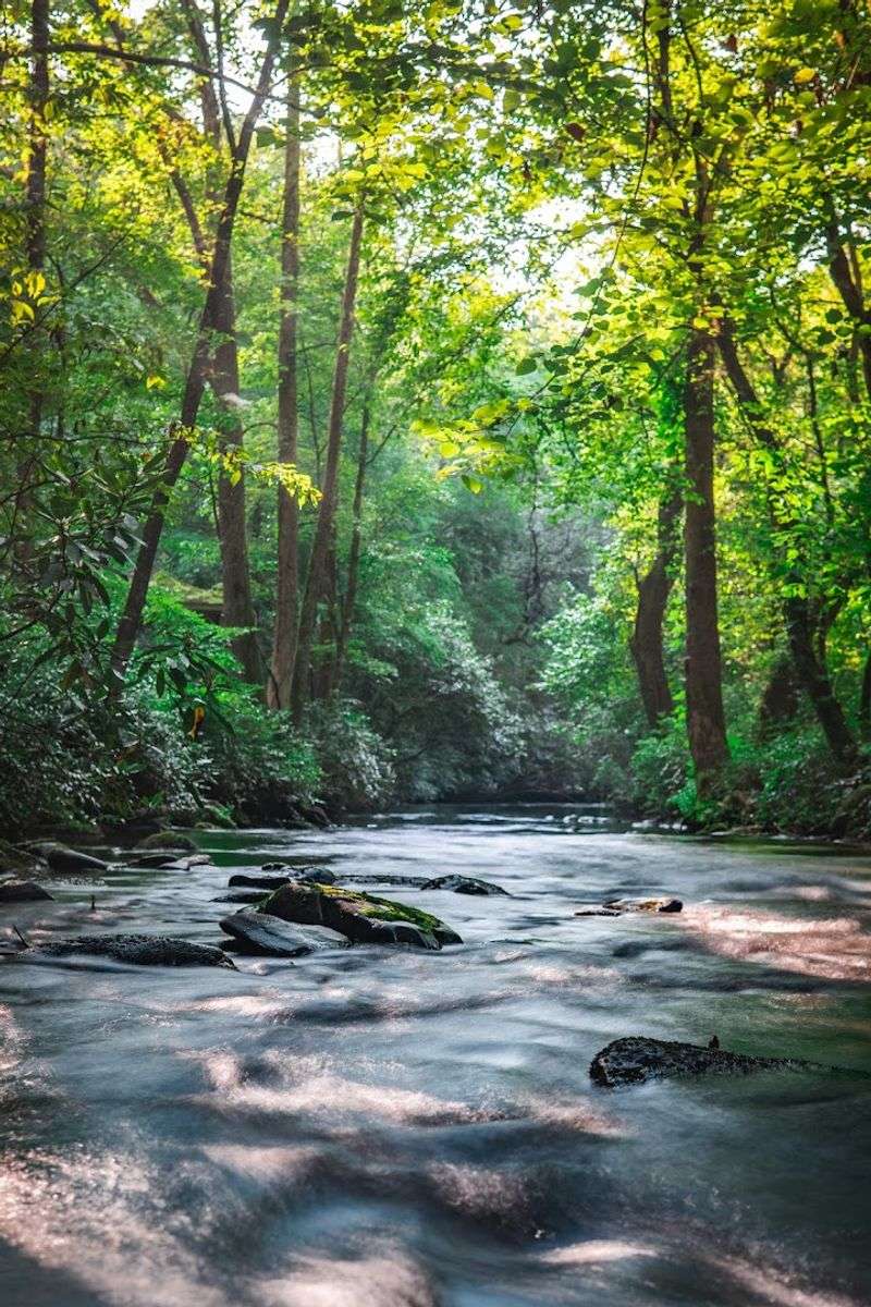 Smithgall Woods State Park