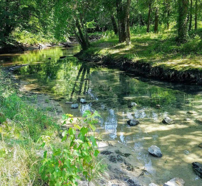 Tips You Should Know