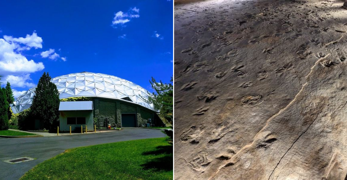 Walk Beside Real Dinosaur Tracks At This Prehistoric Park In Connecticut - Decor Hint