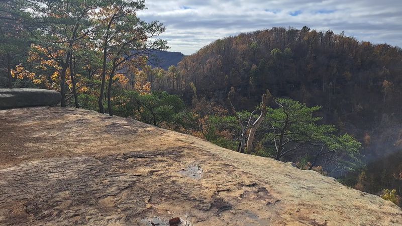 Head Into The Berea College Forest From The Forestry Outreach Center