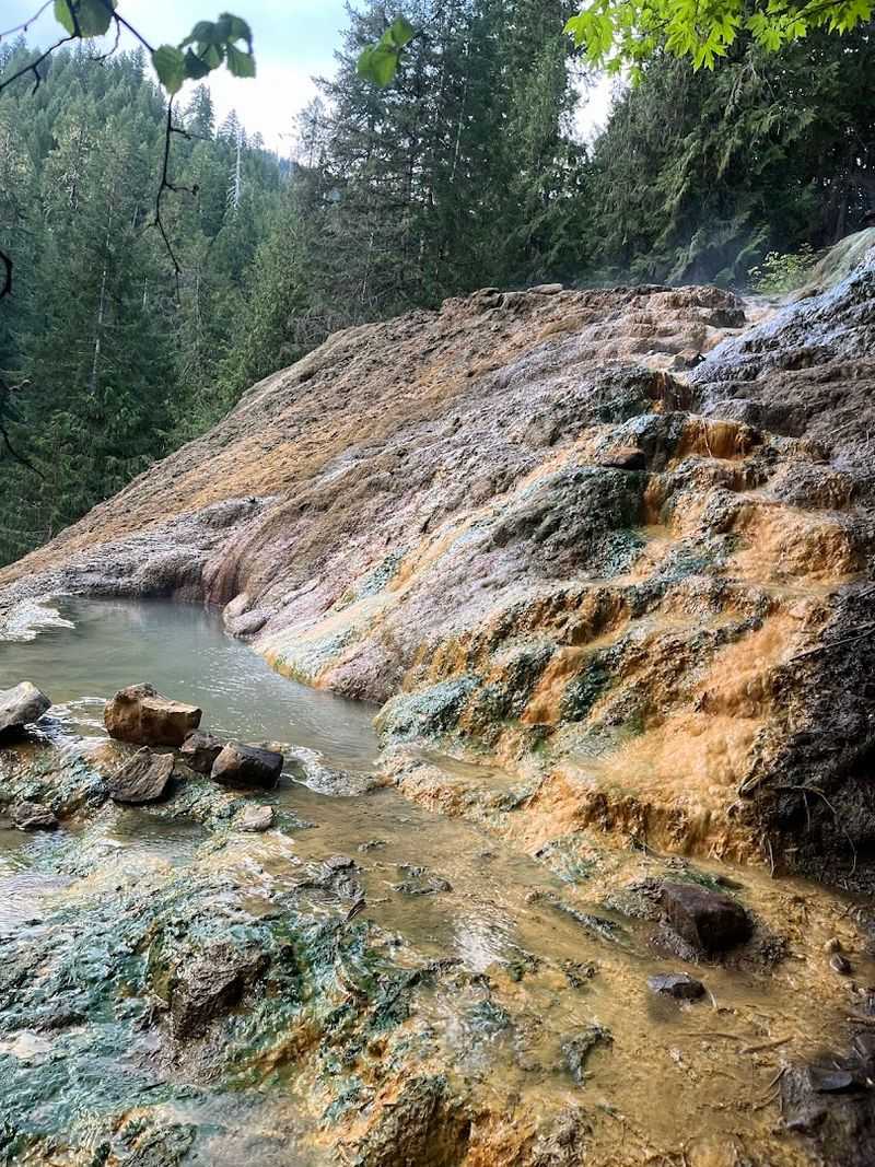 Umpqua Hot Springs