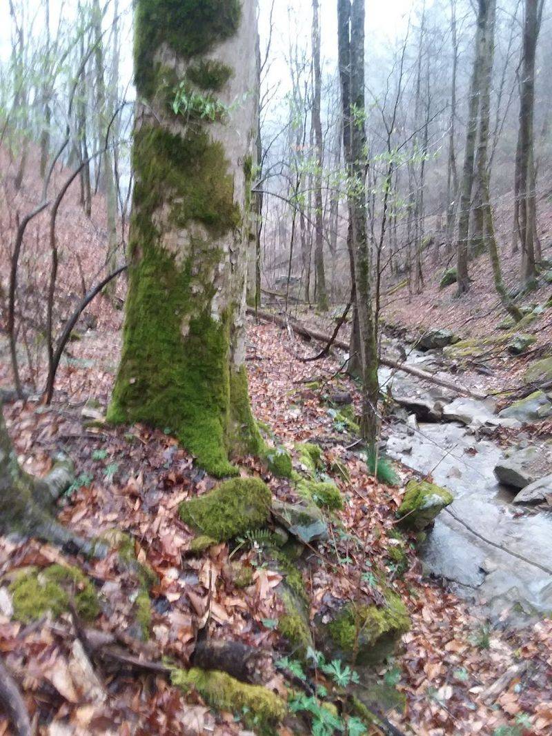 Isaban, McDowell And Mingo County Line