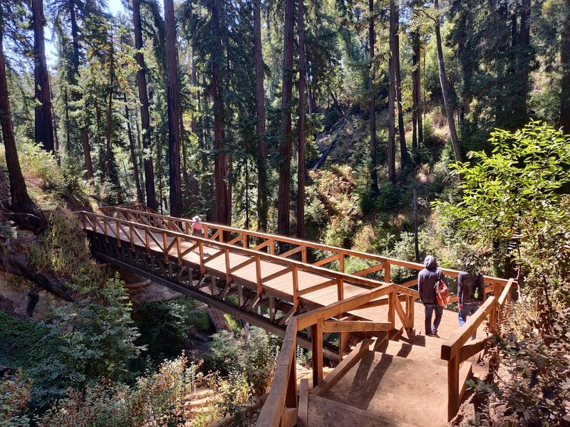 River Path, Pfeiffer Big Sur State Park