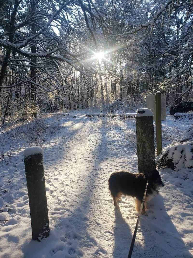 Forest Park, Portland