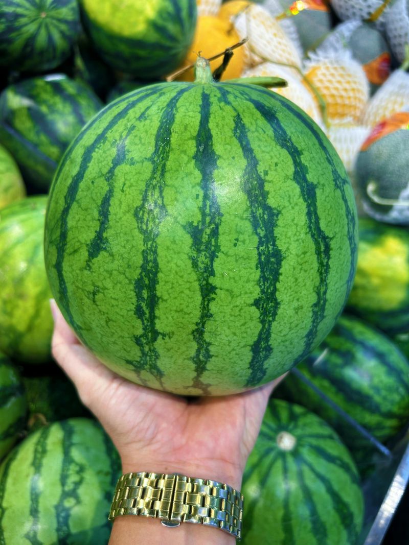 Watermelon Gospel Sing