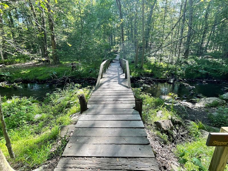 12 Connecticut Places Worth Visiting Before Summer Fully Arrives - Decor Hint Bartlett Arboretum & Gardens, Stamford