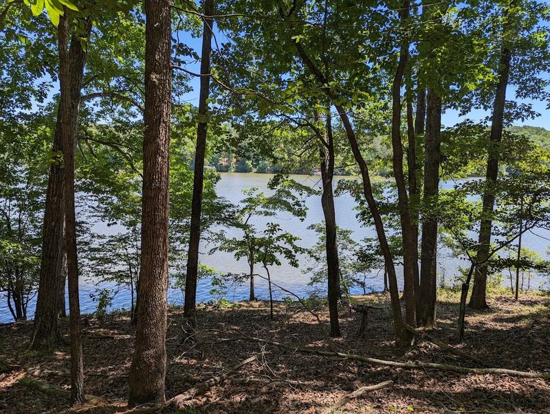 Playgrounds Spread Across the Park