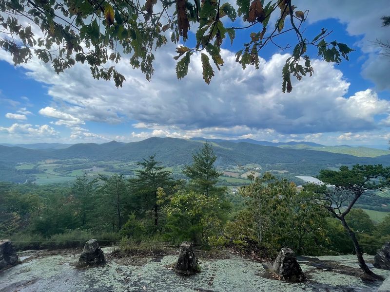 Dog-Friendly Trail That Welcomes Four-Legged Hiking Partners