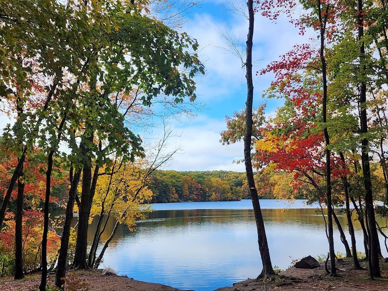 Millers Pond State Park