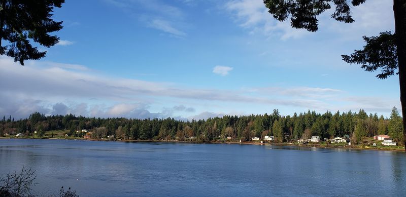 Shelton