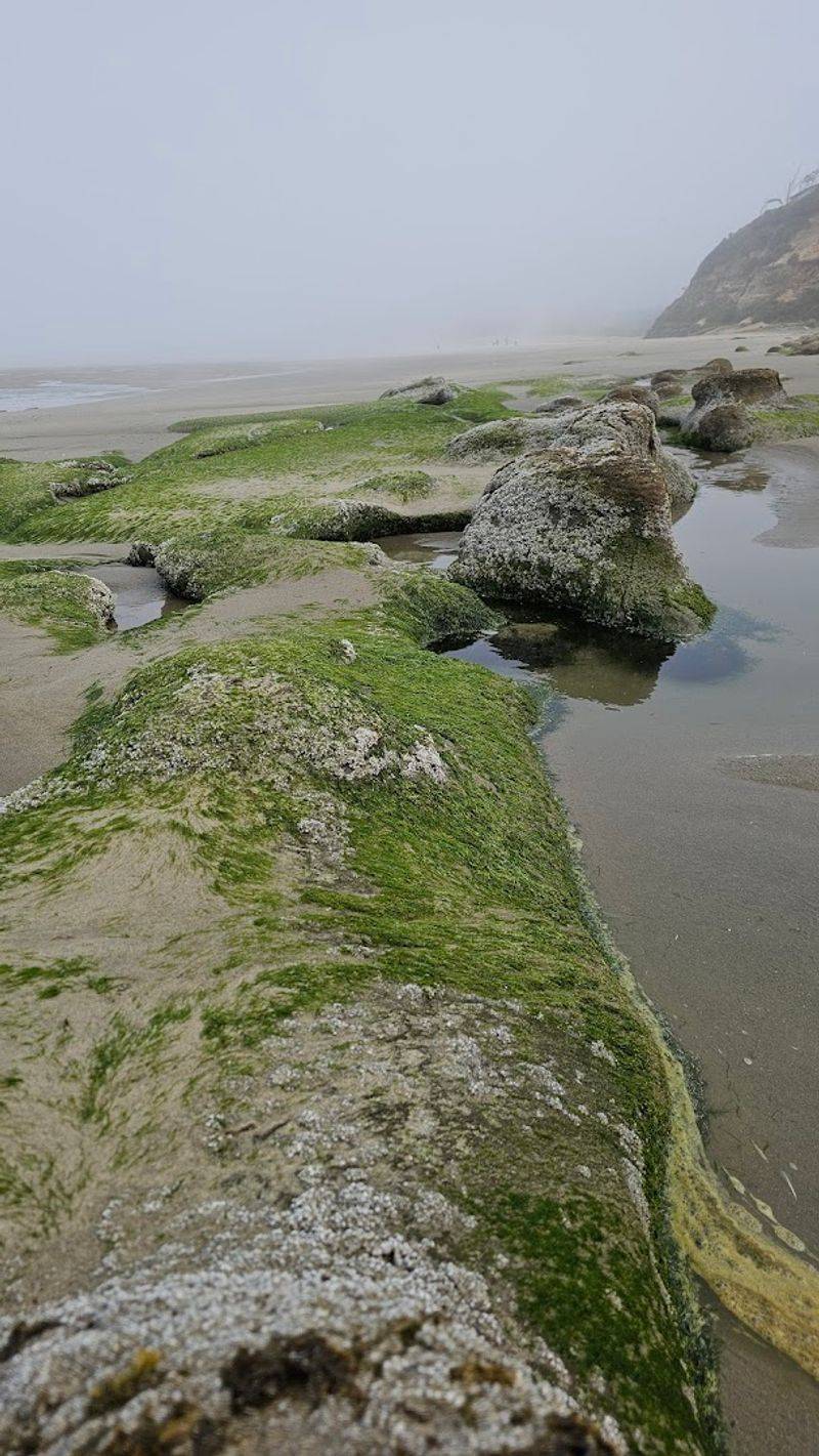 Ona Beach State Park