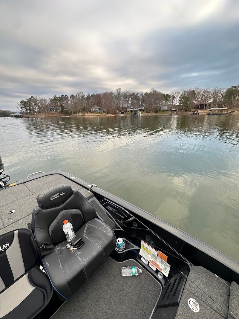 A Rising Star On The Lake