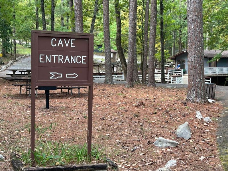 The Blind Cave Fish That Live In Total Darkness