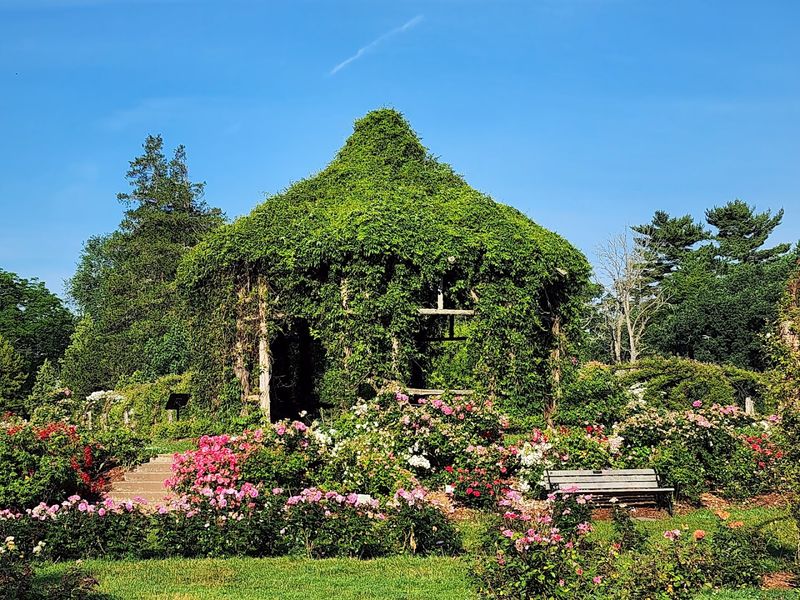 This Enchanting Botanical Garden In Connecticut Is One Of The State's Best Kept Secrets - Decor Hint Before You Visit Elizabeth Park Rose Garden