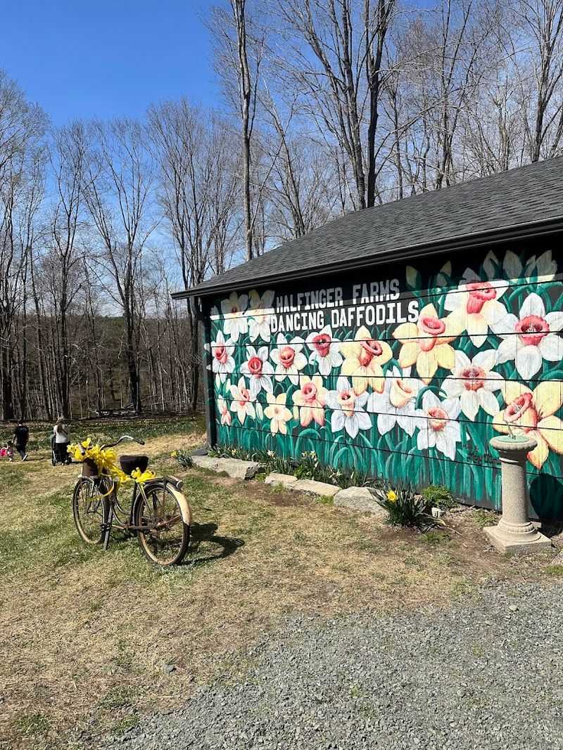 Why This Flower Farm Makes Such A Memorable Connecticut Day Trip