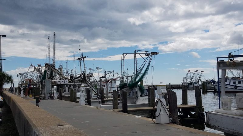 The Boats That Changed The Docks