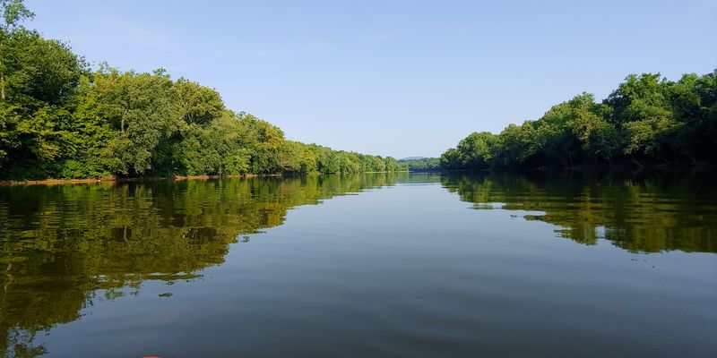 A Quiet Stretch Of The Potomac River