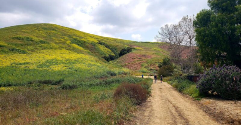 Where To Go In California If You Crave Fresh Air And No Crowds
