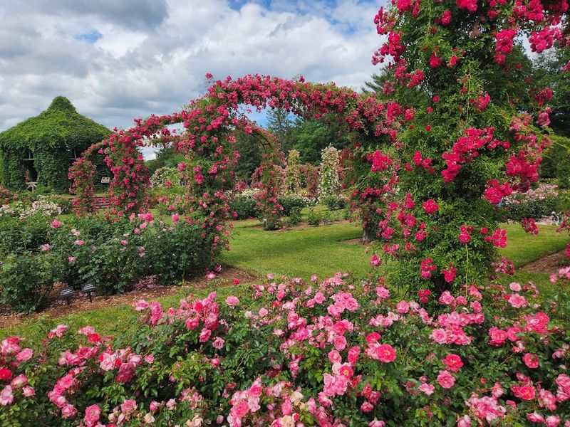 12 Connecticut Places Worth Visiting Before Summer Fully Arrives - Decor Hint Elizabeth Park Rose Garden, Hartford