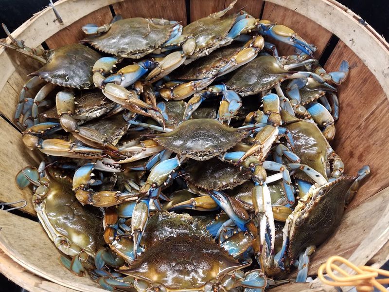 Keeping It Local: Why Supporting Coastal Fishermen Matters