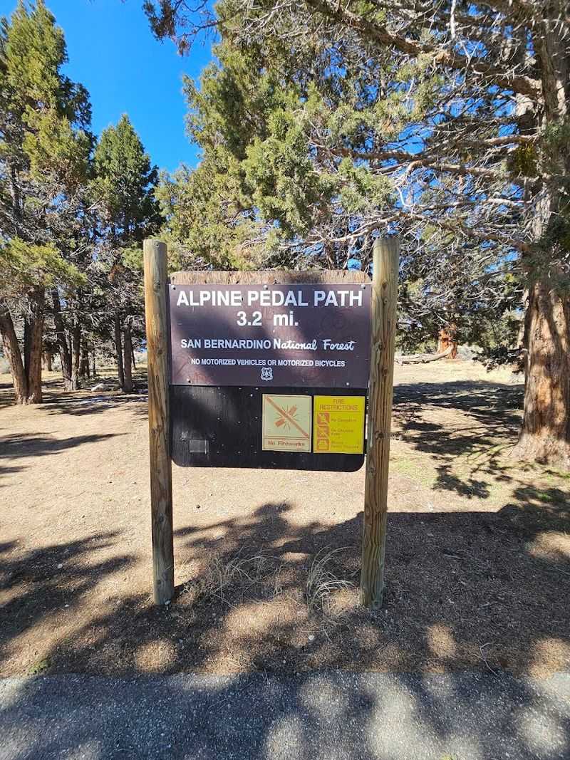 Dogs Are Welcome And They Know It