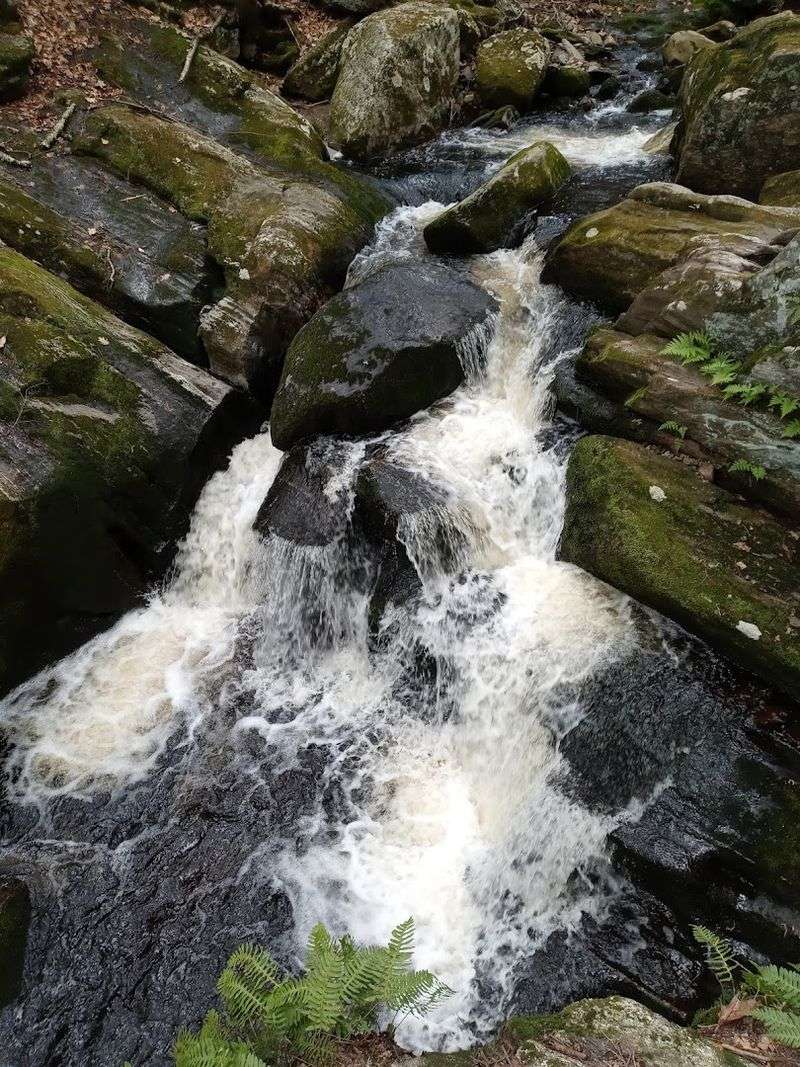 The Joy Of Hearing Water Before You See It