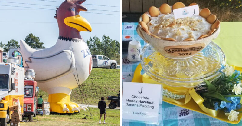 Why Everyone In Tennessee Is Talking About This Huge 2026 Weekend Event