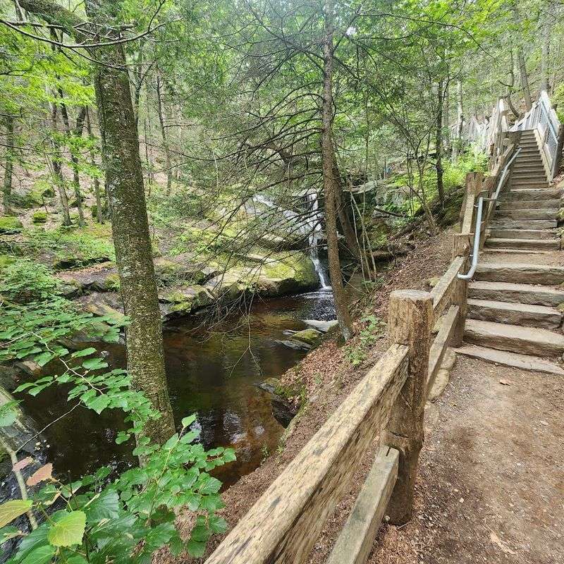 Before You Visit Enders State Forest