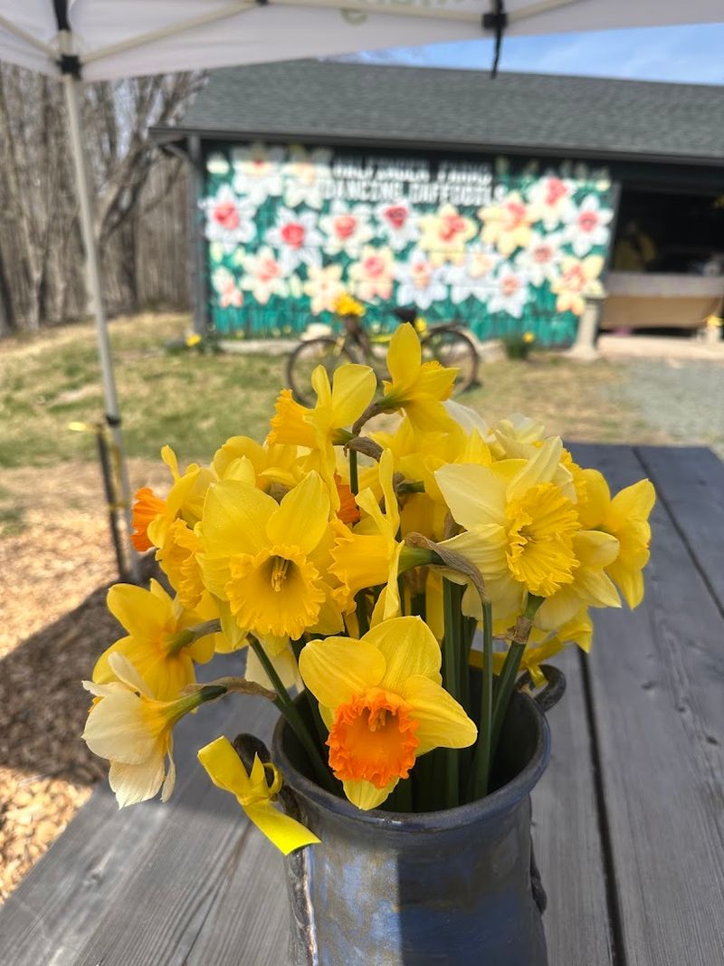 The Family Story Behind This Higganum Flower Farm