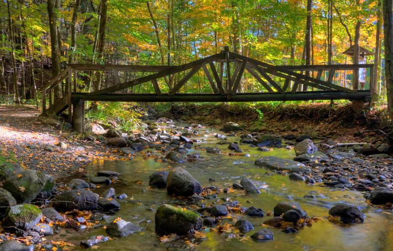 The Best Time To Visit Hidden Valley Preserve