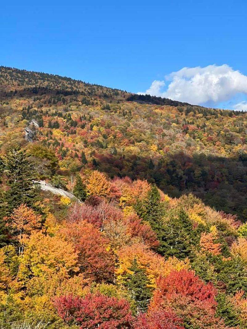 This North Carolina Mountain Village Feels Just Right For Hot Chocolate And Slow Days - Decor Hint Fall Foliage That Peaks Around Mid-October