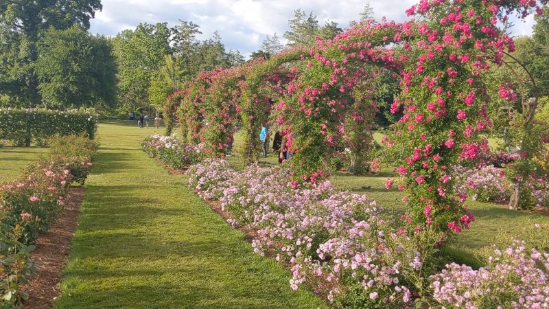 This Enchanting Botanical Garden In Connecticut Is One Of The State's Best Kept Secrets - Decor Hint The Best Way To Wander Without Rushing