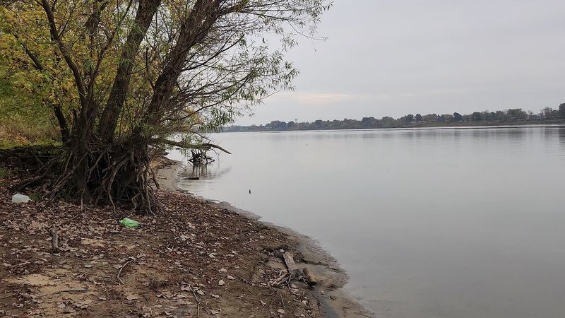 The River’s Influence On Local Food Culture