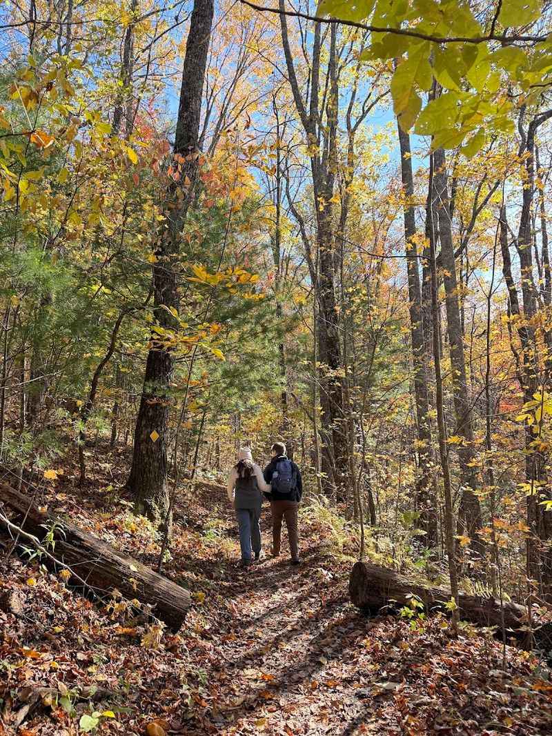 Fall Foliage That Rivals Any Leaf-Peeping Destination In The Southeast