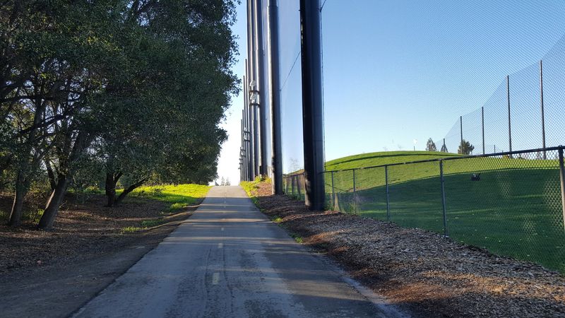 The Shaded Canopy Sections 