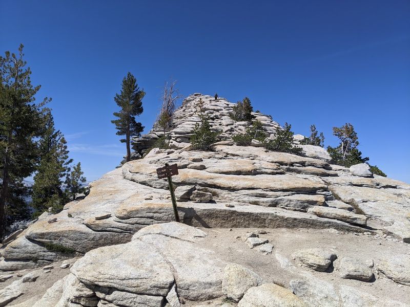 Seasonal Access And Tioga Road Timing