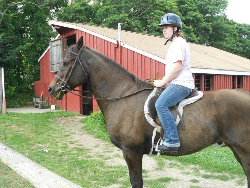 Unique Farm Activities For Visitors Of All Ages