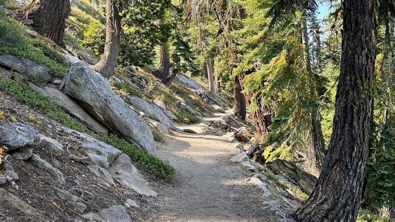 You Haven't Explored California Until You've Hiked This 2.2-Mile Trail With Million-Dollar Vistas - Decor Hint Best Time Of Year To Visit Taft Point Trail
