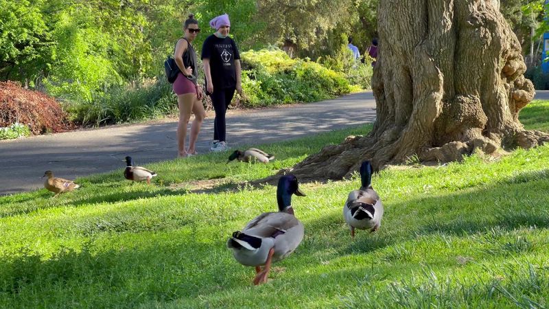 Parking Options And Weekend Access