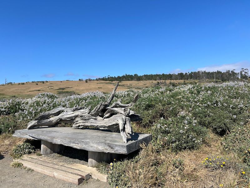 The Trail System Offers More Than One Route