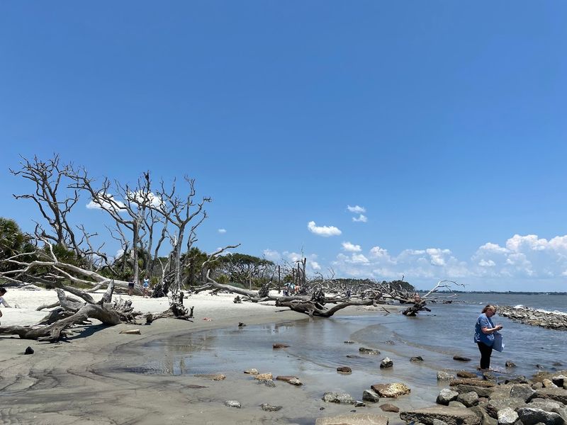 Beachcombing for Natural Treasures