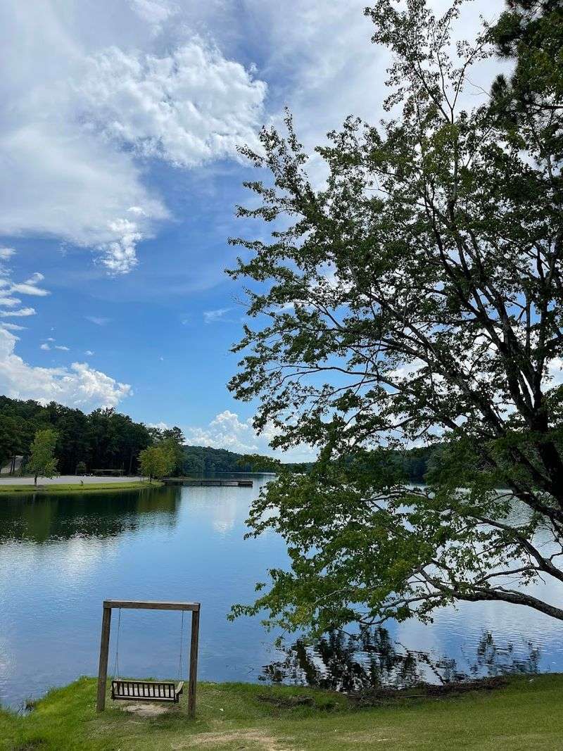Picnicking With A View That Actually Delivers
